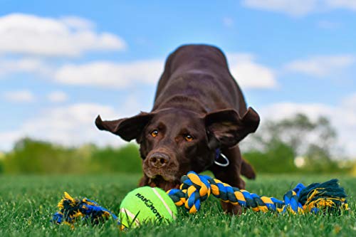Mammoth Flossy Chews Color 3 Knot Tug w/Large Tennis Ball – Premium Cotton-Poly Tug Toy for Dogs – Interactive Dog Tug Toy – Rope Dog Toy with Tennis Ball for Large Dogs - 24” - size: Large (24 in), style: 3 Knot Rope Tug with Tennis Ball