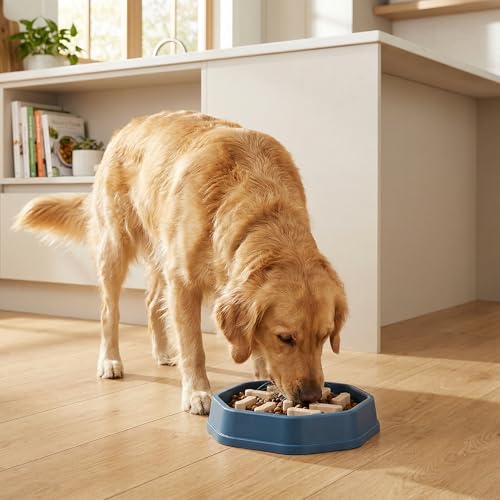 Adjustable Slow Feeder Dog & Cat Bowl, Non-Slip Puzzle Feeding Bowl, Healthy Eating Pet Bowl for Small Medium Dogs Cats (Blue) - color: BLUE