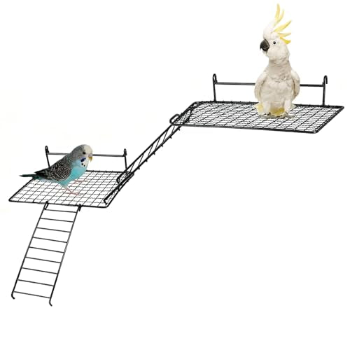 4 Pcs Bird Perches Platform, Stainless Steel Bird Cage Platform with Climbing Ladder Bird Cage Accessories for Budgerigars, Cockatiels, and Small to Medium-Sized Birds (Black)