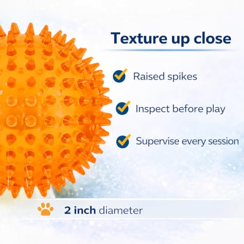 Squeaky Spiky Dog Ball for Teeth Cleaning & Gum Massage 2 Inch Puppy Small Dogs Orange | Spiny TPR Rubber Chew Toy for Fetch Play Interactive Bouncy Dental Ball Durable BPA Free Nontoxic Floats - size: 2 Inch Orange Ball 1-Pack