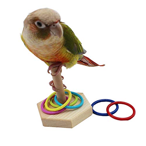 QBLEEV Bird Tabletop Toy, Parrot Activity & Training Trick Color Ring Toys - color: Color Circle A