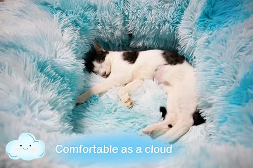 XxingSheep Extra Large Cat Tunnel Bed Plush Cat Cave for Indoor Cats - color: Azure Blue