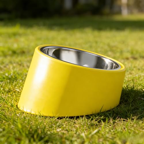 15° Tilted Slow Feeder- Non-Spill & Non-Slip Stainless Steel Dish for Small & Cats - color: Yellow, size: L