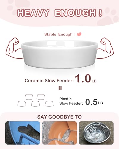 TRUVIC Ceramic Slow Feeder Dog Bowls Small Breed, 0.6 Cup Slow Feeder Cat Bowls for Fast Eaters, Ceramic Dog Food Dish no Black Chin, Puzzle Bowl for Small Dogs and Cats, White - color: 01-White, size: S-0.6 Cups