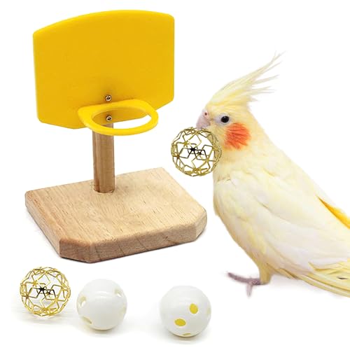 QBLEEV Bird Basketball Toy, Parrot Activity & Foraging Training Toys Set - color: Basketball Toy