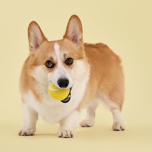 Playology Squeaky Chew Ball Dog Toy - Medium, Chicken Scent - size: Medium, style: Chicken