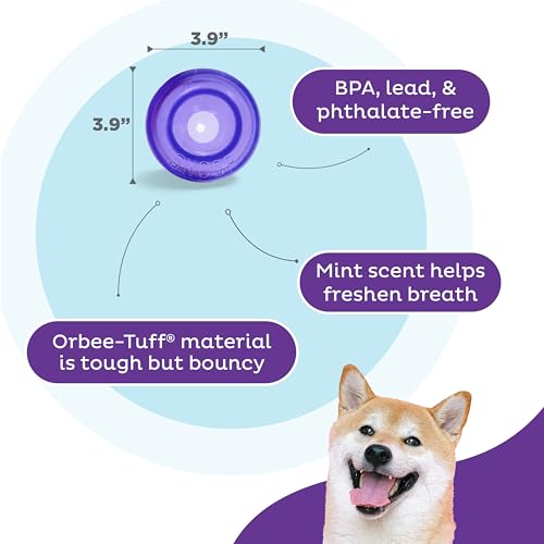 Outward Hound Lil' Snoop Interactive Treat Dispensing Dog Toy, Purple, 3.9" - color: Purple Lil Snoop