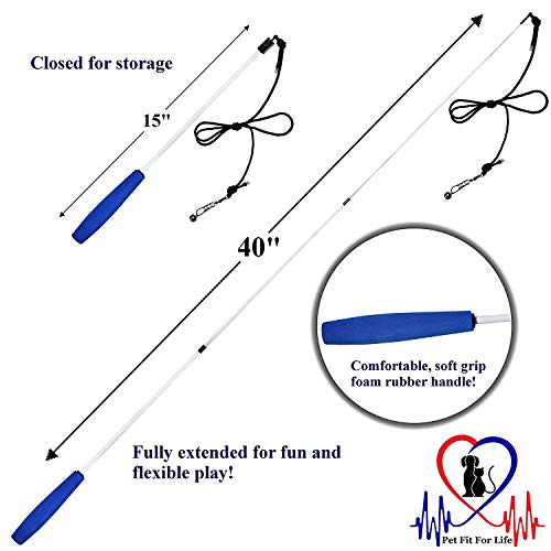 Pet Fit for Life Retractable Interactive Cat or Kitten Wand with 2 Feathers and 1 Soft Furry Combo - style: 2 Feathers + Fish