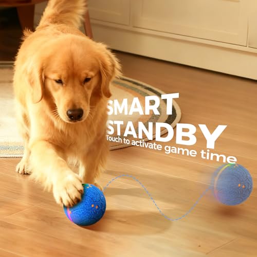 Diman Interactive Dog Toys, Moving Balls for Dogs, 3 Bounce Modes, 3.2 Inch - color: Dark Blue