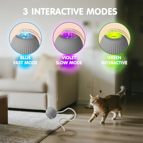 Rocfish Durable Interactive Cat Toys for Indoor Cats (Grey, 01) - color: grey01, size: 01