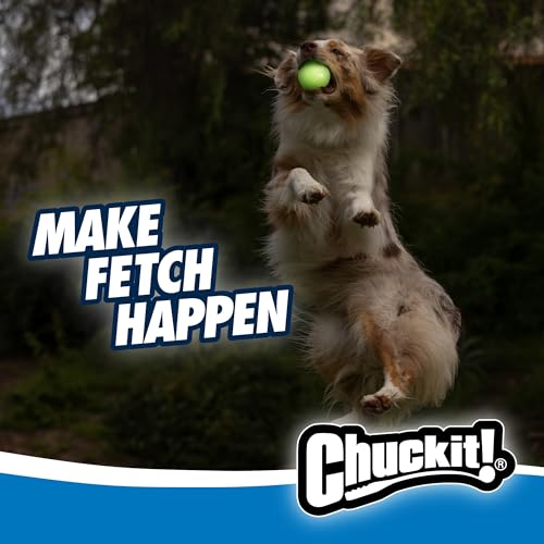 Chuckit! Max Glowin the Dark Bouncy Ball for Dogs, Large 3in, 1 Pack - size: Large