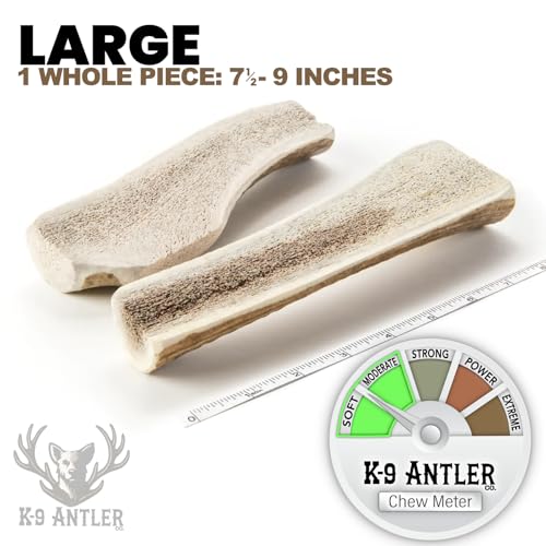 Elk Antlers for Dogs - Large Split Natural Chew (Ideal for 40-70 lb Dogs) - size: Large, style: Split