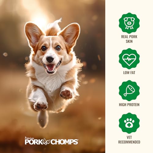 Pork Chomps Roasted Pressed Pork Skin Dog Chew, 7-inch Bone, 1 Count (Pack of 5) - size: 1 Count (Pack of 5)