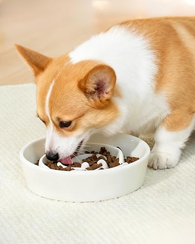 TRUVIC Ceramic Slow Feeder Dog Bowls, 1.5 Cup Puzzle Slow Feeder Bowls for Fast Eaters, Ceramic Dog Food Dish no Black Chin, Puzzle Bowl for Medium Dogs, White - color: 01-White, size: M-1.5 Cups