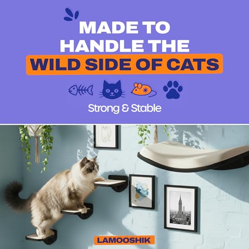 Cat Wall Shelves, Black Floating Cat Furniture with Bed & Steps - color: Black