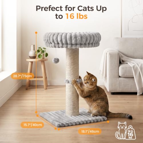 Avont Modern Cloud Cat Scratching Post with Perch for Indoor Adult Cats - color: Lightgrey