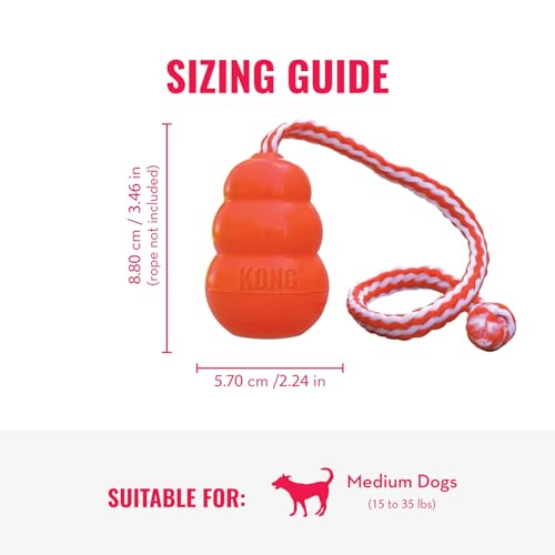 KONG Aqua Floating Fetch Toy, Natural Rubber, Orange, for Medium Dogs - size: Medium (Pack of 1)