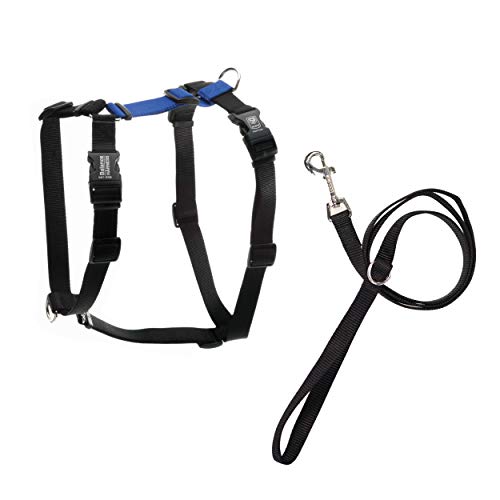 Blue-9 Balance Harness® and Leash Walking Set for Dogs, No-Pull, Blue, M - color: Blue, size: Medium