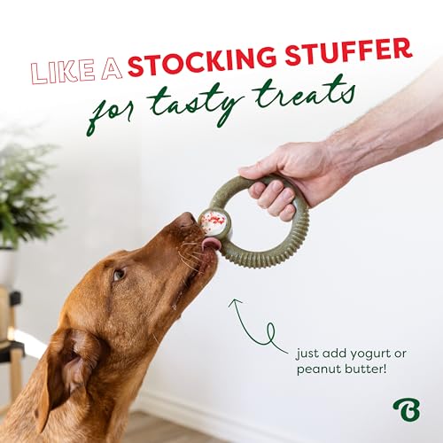 Benebone Ring Dog Chew Toy for Aggressive Chewers, Peppermint, Medium - size: Medium