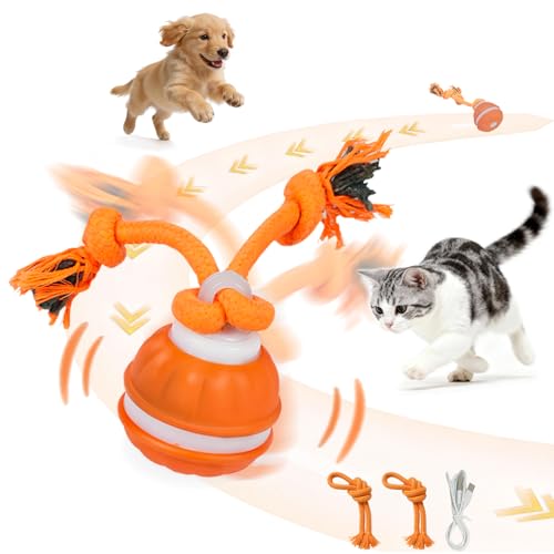 Interactive Dog & Cat Toy, Auto Chirping Ball, Rechargeable Self Play - color: 1 Orange