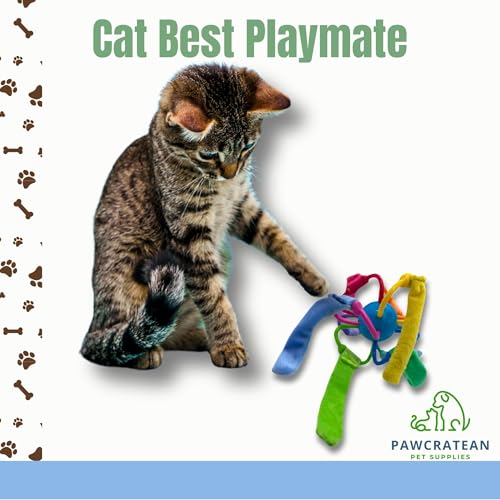 Catnip Sepak Takraw Cat Toy with Crackle Paper Colorful Self-Entertainment Durable Chew Toy - color: Catnip