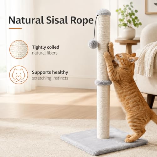 Dimaka 29" Tall Cat Scratching Post, Sisal Rope Scratcher, Grey - color: Grey, size: 29 inches for All Cats