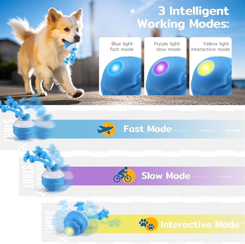The Chase Buddy Dog Boredom Stimulating Toy 2025 Smart Pet Puppy Ball with Ropes Interactive Self Play Moving Dogs Balls Automatic Electric Active Rolling Ball Jumping Bouncing Dog Balls Gift (Blue) - color: Blue
