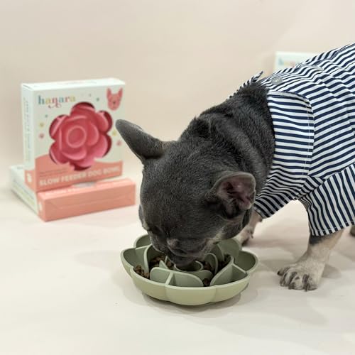 Hanara Sillicone Slow Feeder Dog Bowls & Lick Mat with Suction Bottom | Rose Petals Design | Promotes Better Digestion, Prevent Choking | Dish Washer Safe | Great Size for All Breed (Sage Green) - color: Sage Green