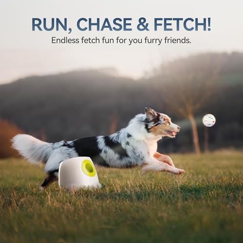 All for Paws Automatic Ball Launcher for Dogs, Interactive Pet ETPU Balls Outdoor Thrower for Medium to Large Dogs, Ball Throwing Machine for Dogs, 6 ETPU Balls Included(2.5"), Rechargeable Battery - size: 2.5"ball launcher