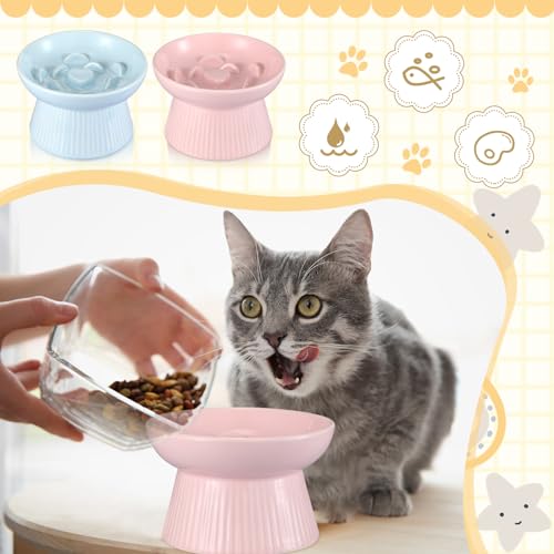 Layhit 2 Pack Raised Slow Feeder Cat Bowls Ceramic Elevated Cat Food Bowls Anti Vomiting Slow Feeder for Dog and Kitten for Dry and Wet Food(Blue, Pink) - color: Blue, Pink