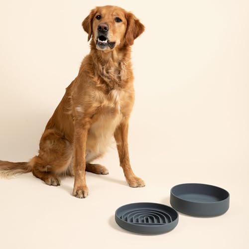 Slow Feeder Dog Bowl - Silicone Dog Bowl, Large, 9.5" x 1.5" - Charcoal - color: Charcoal - Rainbow Design, size: Large (9.5” Across and 1.5” Tall)