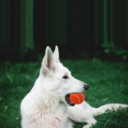 Tennis Balls for Dogs - Squeaky Bouncy Ball Toys 2.5 inches 12 Pack for Indoor Playing and Outdoor Interactive Fetch Training