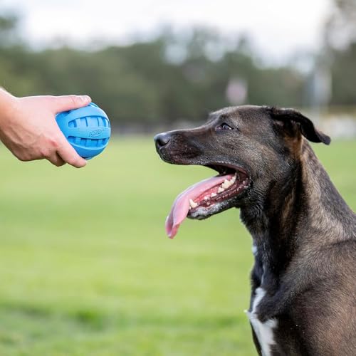 Nerf Dog Rubber Ball Dog Toy with Checkered Squeaker, Lightweight, Durable and Water Resistant, 4 Inch Diameter for Medium/Large Breeds, Single Unit, Blue - size: 4 Inch Blue, style: Checker Squeak