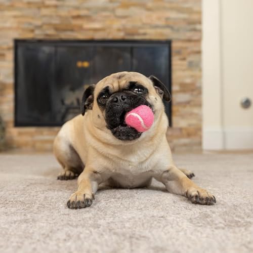Hyper Pet Mini Extra Small Tennis Balls for Dogs, 1.75 Inch, 8 Pack, Pink - color: Pink, size: MINI 1.75" - 8 Pack