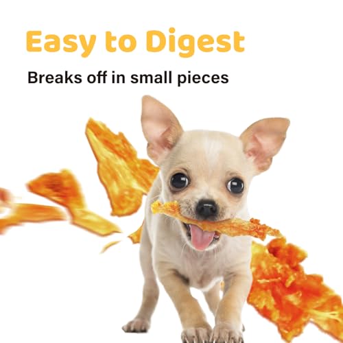 iPaw 10 Pcs Value Pack Turkey Tendons Ring for Dog, All Natural Human Grade - size: 1.27 Ounce (Pack of 5)