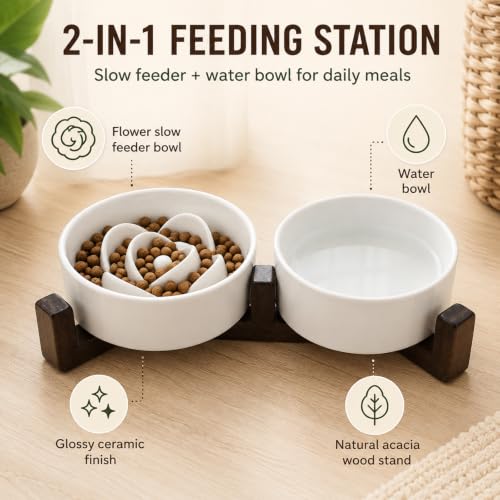 2-in-1 Ceramic Elevated Slow Feeder Dog Bowls with Acacia Wood Stand - size: Small