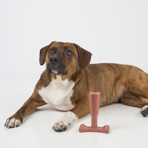 SPOT Bam-Bones Plus T-Bone Dog Chew, Beef, 6in, 30-60 lb Heavy Chewers - size: Medium