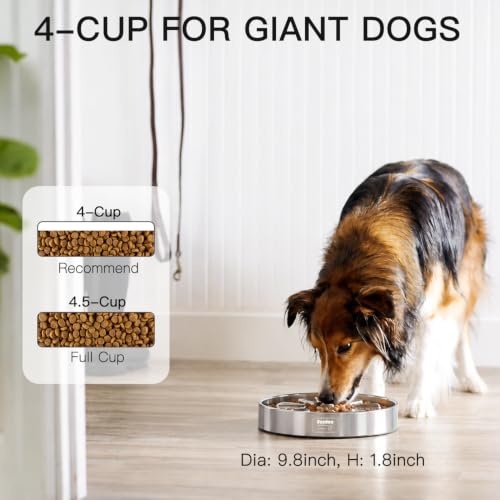 Feedoo Slow Feeder Dog Bowl 4-Cup, Double-Wall Stainless Steel, 2-Pack - color: Spiral-2Pack, size: XL 4~4.5Cups