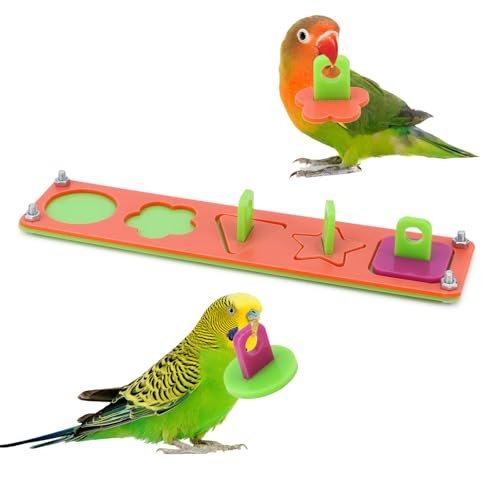 Hypeety Bird Intelligence Training Toys Parrot Learning Block Puzzles - color: Puzzle Toy B
