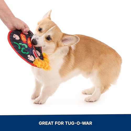 BarkBox Bark-B-Q Flying Disc Dog Toy - for Dogs - color: Bark-B-Q