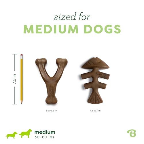 Benebone 2-pack Fishbone/Wishbone Durable Dog Chew Toys, Dog Bones, Medium - size: Medium, style: Fishbone/Wishbone