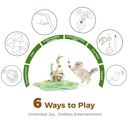 Cat Toys Rechargeable, 6-in-1 Automatic Interactive cat Toy