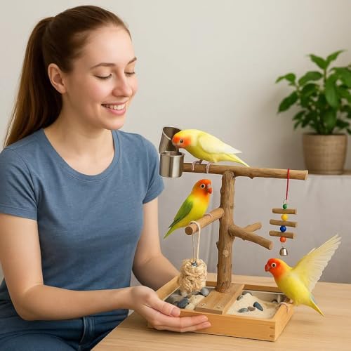 Bird Perch Stand, Natural Wood Bird Perch Stand, Wooden Parrot Perch Stand Fork Toys Hanging Multi-Branch Rope Perch Platform Hammock Swing Toy Chewing Stick Cage Accessories - color: Style B