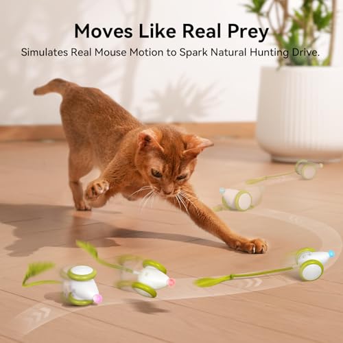 Cheerble Interactive Cat Toys for Indoor Cats, Automatic Moving Kitten Toys, Wicked Mouse Neo Cat Toy with Tail & Lights, Pet Cat Supplies, Rechargeable Cat Toys for Bored Indoor Adult Cats - color: Mouse Neo-Green