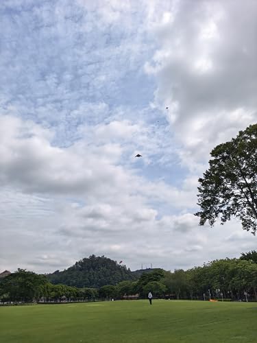 B2 Model Airplane Kite, Large Easy to Fly Kites Adults, 300FT String Reel Perfect for Beach Park Family Outdoor Activities - color: black