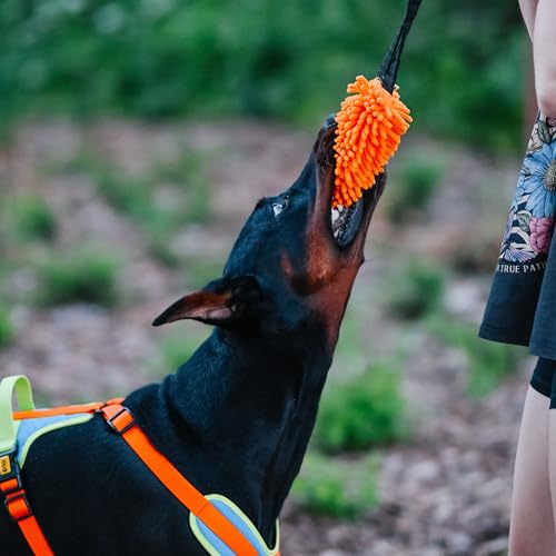 Dingo Dog tug Toy with Bungee Handle, Microfiber, Orange 17in - color: Orange