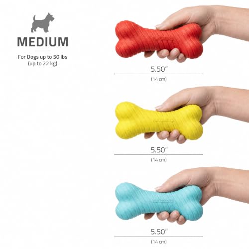 Playology Dual Layer Bone Bone Dog Chew Toy Box - Medium, Variety of Scents - style: Dual Layer Bone Box
