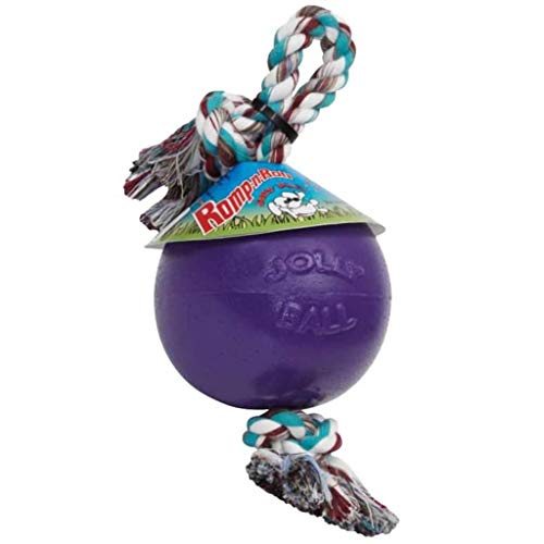 Jolly Pets Romp-N-Roll Rope & Ball Dog Toy, 6 in Medium, Purple - color: Purple, size: Medium (6 in)