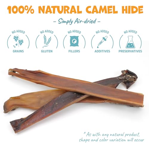 Pack Approved Camel Skin Dog Chews for Aggressive Chewers - 12" Stick, 3ct