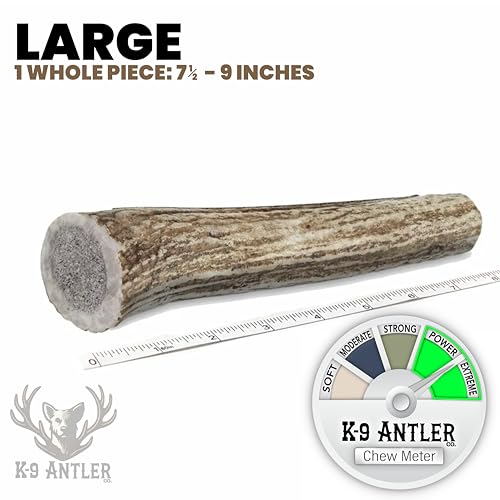Elk Antlers for Dogs – Large Whole Natural Chew (Ideal for 40-70 lb Dogs) - size: Large, style: Whole